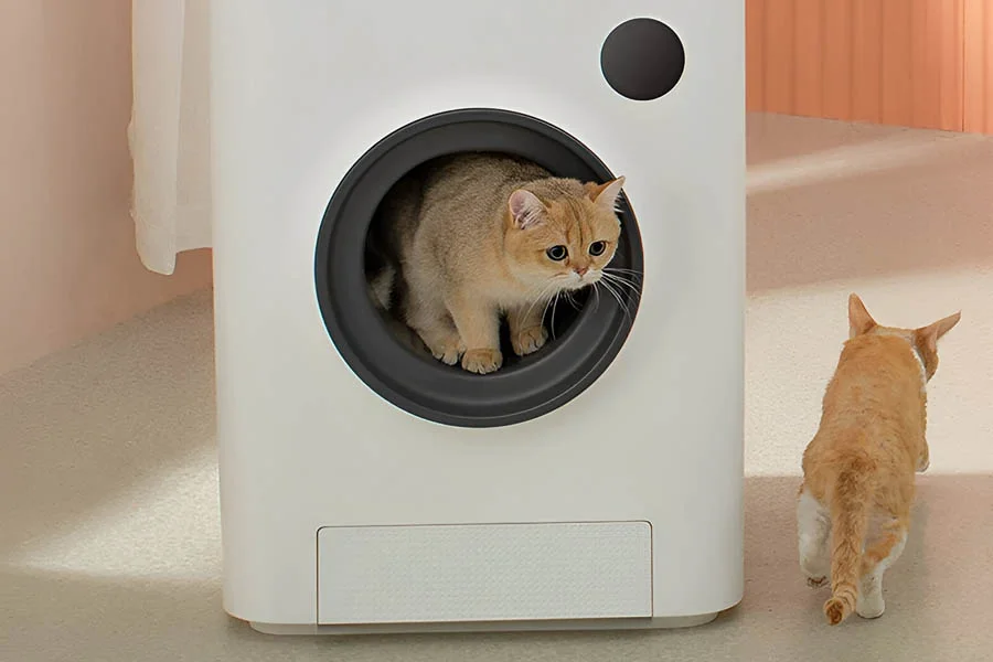 odourless litter box