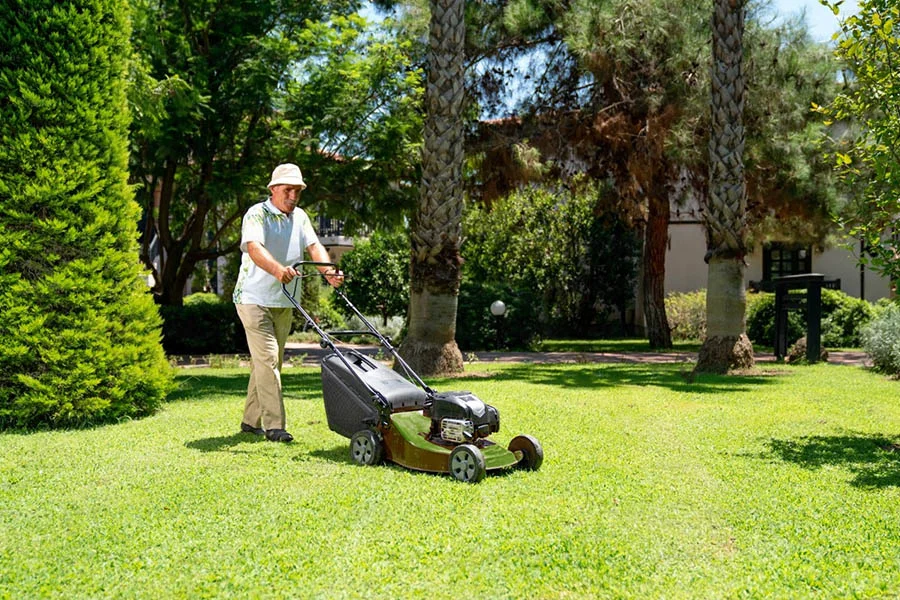 small electric mower